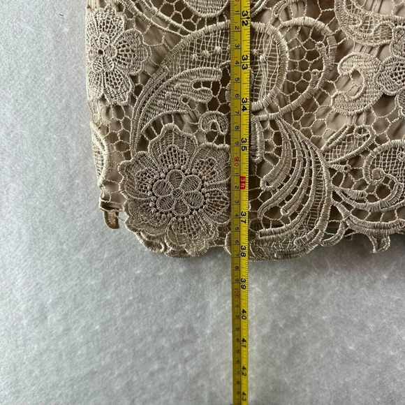 Adrianna Papell Dress Size 6 Lace Overlay Sheath Boat Neck Sleeveless Beige - Picture 12 of 12